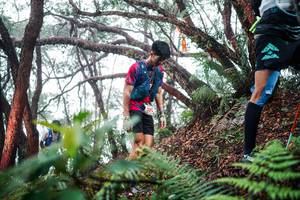 BIB: 
                            <button type="button" onclick="openModal(26295825)" class="btn btn-primary btn-sm float-right btn-popup" data-toggle="modal" data-target=".modal-high-quality">
                        <i class="fas fa-shopping-cart"></i> Add to Cart
                    </button>
                                            <button type="button" onclick="isThisMe(26295825, true)" class="btn btn-success btn-sm float-right btn-popup btn-isme hidden" data-toggle="tooltip" data-placement="bottom" title="นี่คือรูปของคุณใช่ไหม คลิกที่นี่เพื่อเอาเข้าอัลบั้ม">
                        <i class="fas fa-plus"></i> Add to album
                    </button>
                    <button type="button" onclick="isThisMe(26295825, false)" class="btn btn-warning btn-sm float-right btn-popup btn-isnotme hidden">
                        <i class="fas fa-ban"></i> Remove from album
                    </button>